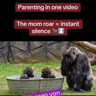 Weet je het even niet meer als ‘ontaarde’ moeder wat betreft het opvoeden? Deze video helpt je op wegð #clubvanontaardemoeders #opvoeden #wijzelessen #duszodoejedat